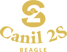 Canil 2S Beagle